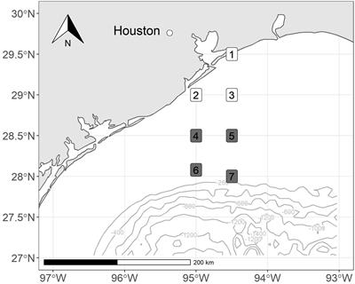 Investigating Seasonal Succession Patterns in Mesozooplankton Community Structure Following Hurricane Harvey